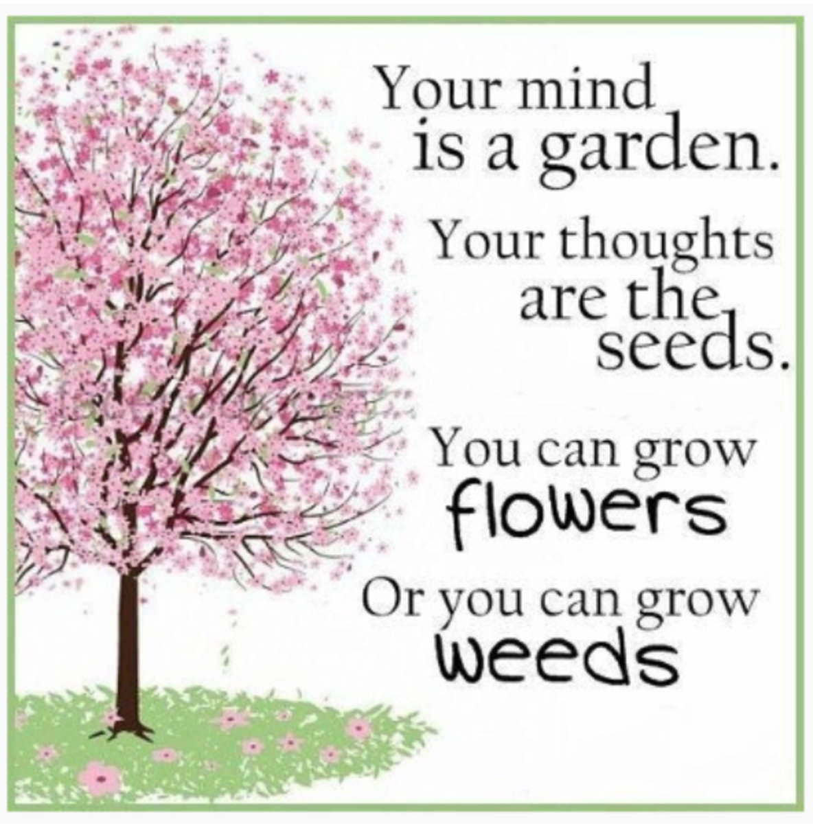 Your MInd is your Garden - Living Fit Lifestyle
