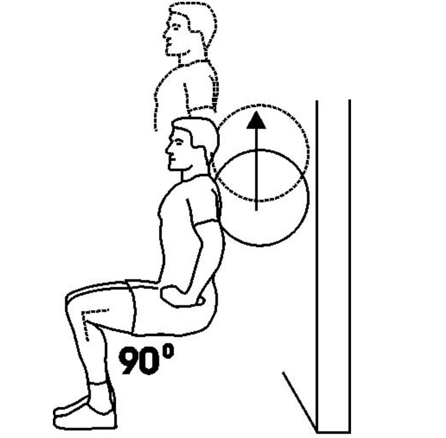 Ball Squat - Living Fit Lifestyle