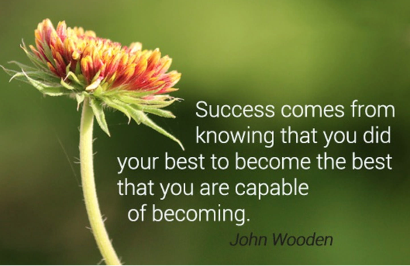 Success comes from knowing ~ Living Fit Lifestyle